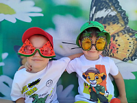 ��������� ���������� � �����������: ���� �������� ���� ����������� �������������� �����