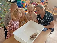 ��������� ���������: ����������� � ��� ��������