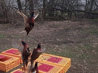 200 ������� ��������� �� ���� � ���������-��������� ������������� ������