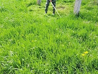 �������� �� ��������� ����������� ������� � ��������������� � ������ ������������